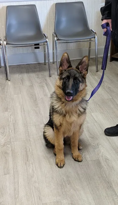 Caesar Creek Animal Clinic 12