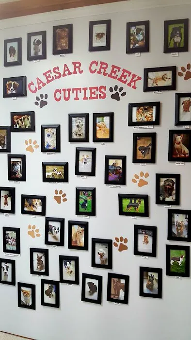Caesar Creek Animal Clinic 12