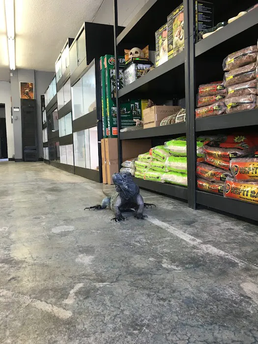 Reptiles Reptropolis 12