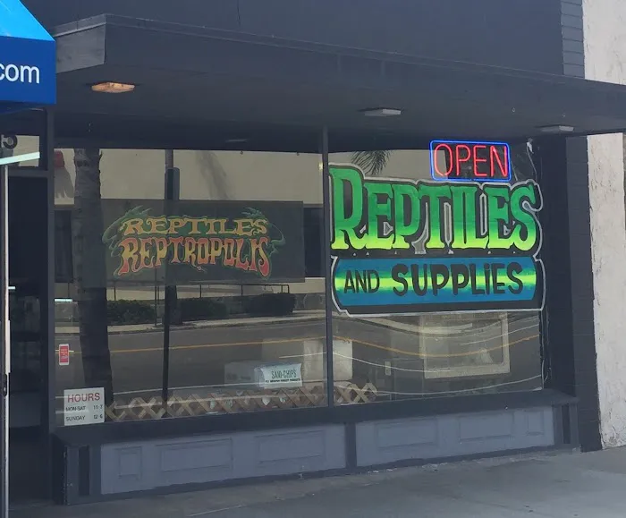 Reptiles Reptropolis 12