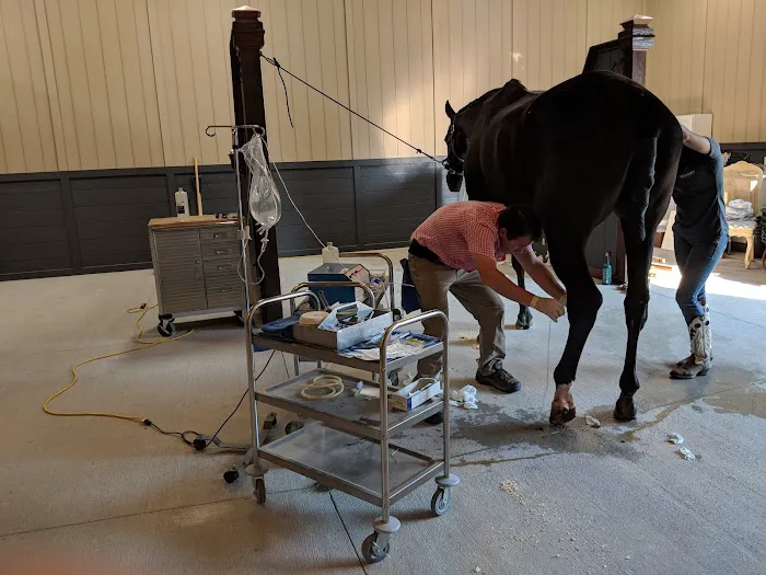 EQuiVET Medicine Inc 12