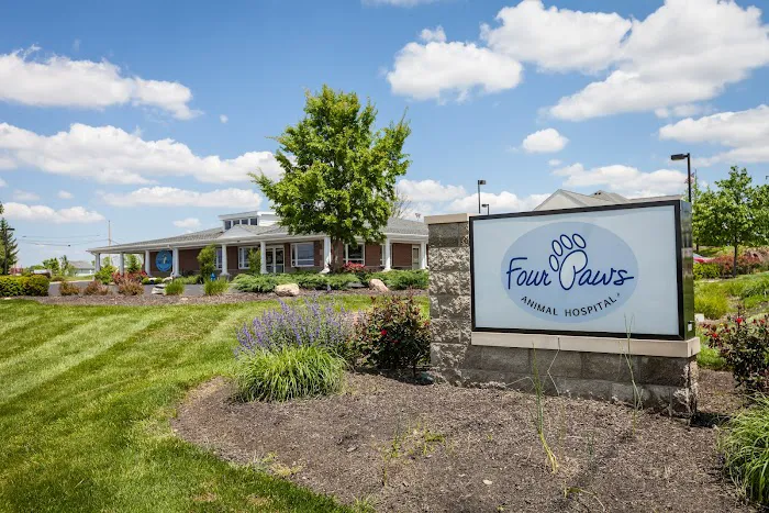 Four Paws Animal Hospital 12