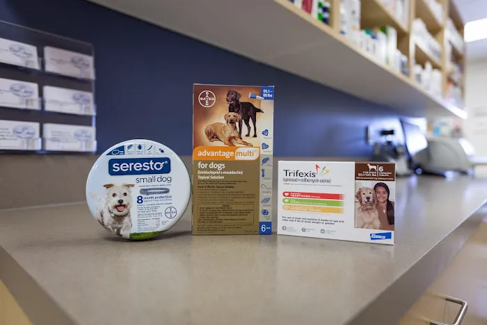 Four Paws Animal Hospital 12