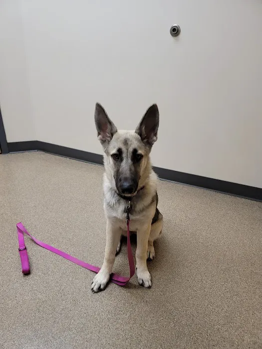 Four Paws Animal Hospital 12