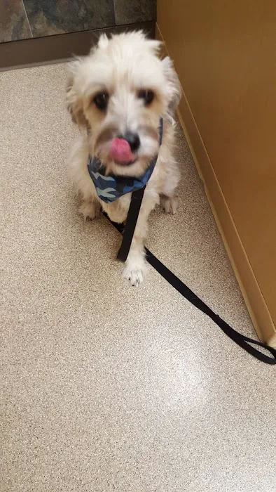 Four Paws Animal Hospital 12