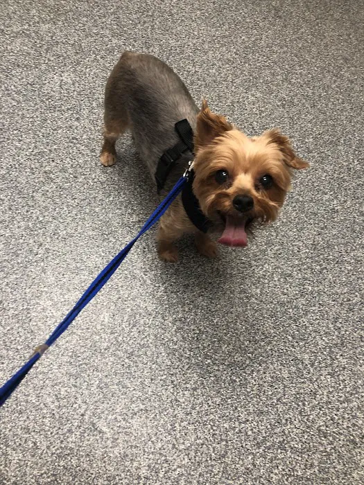 Four Paws Animal Hospital 12