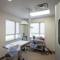 Four Paws Animal Hospital ico
