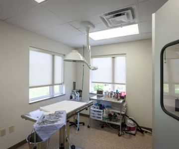 Four Paws Animal Hospital