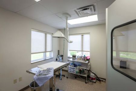Four Paws Animal Hospital