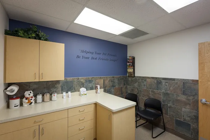 Four Paws Animal Hospital 12