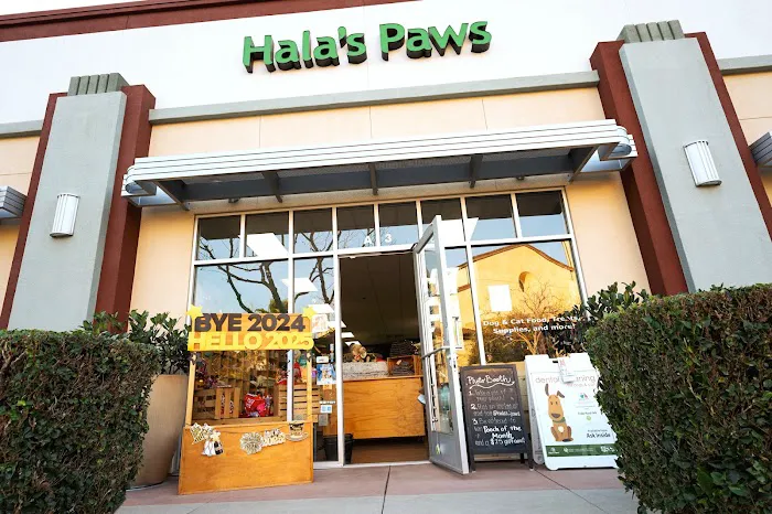 Hala's Paws 12