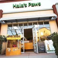Hala's Paws ico
