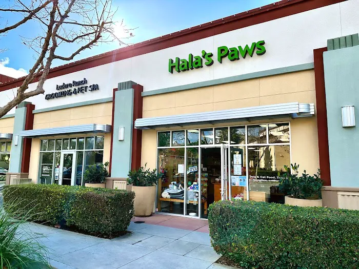 Hala's Paws 12