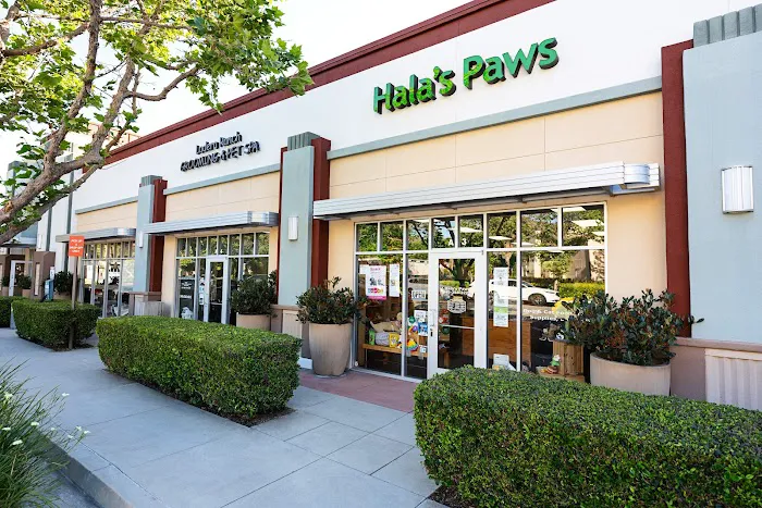 Hala's Paws 12