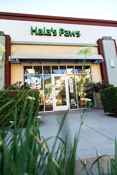 Hala's Paws 12