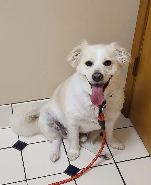 Redkey Veterinary Clinic 12