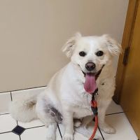 Redkey Veterinary Clinic ico