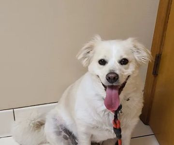 Redkey Veterinary Clinic