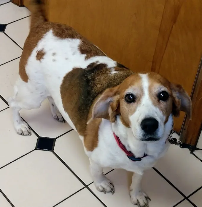 Redkey Veterinary Clinic 12