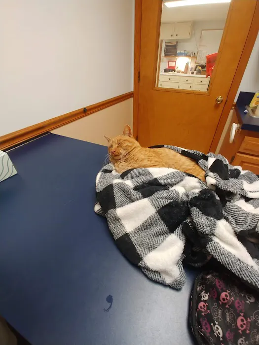 Redkey Veterinary Clinic 12