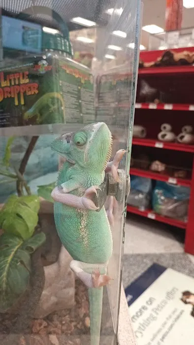 Petco 12