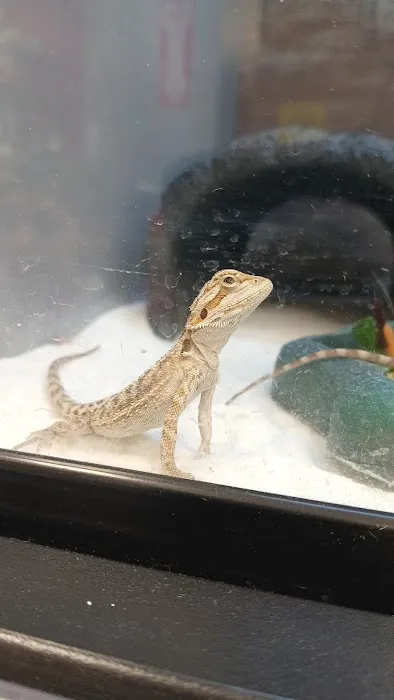 Petco 12