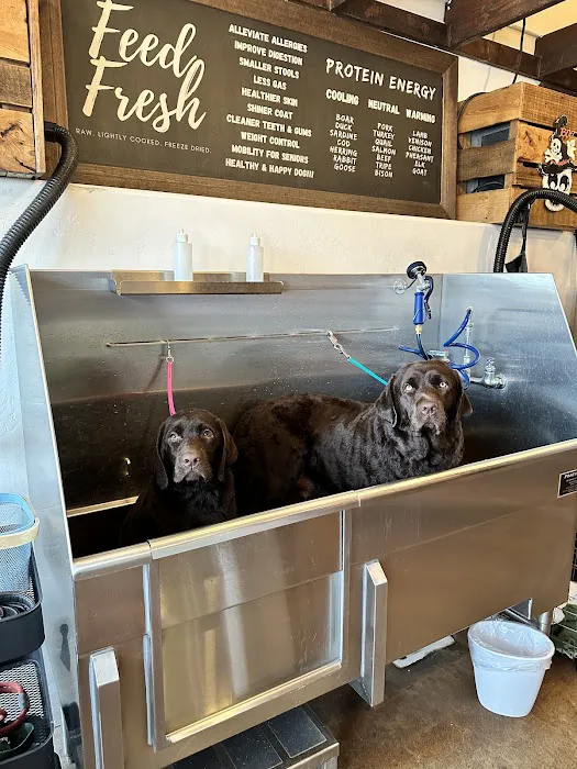 Dog Tub 12