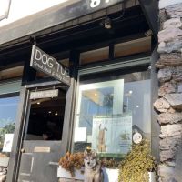 Dog Tub ico