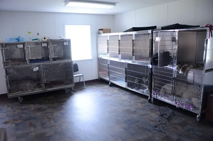 Portland Veterinary Clinic 12
