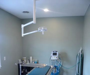 Portland Veterinary Clinic