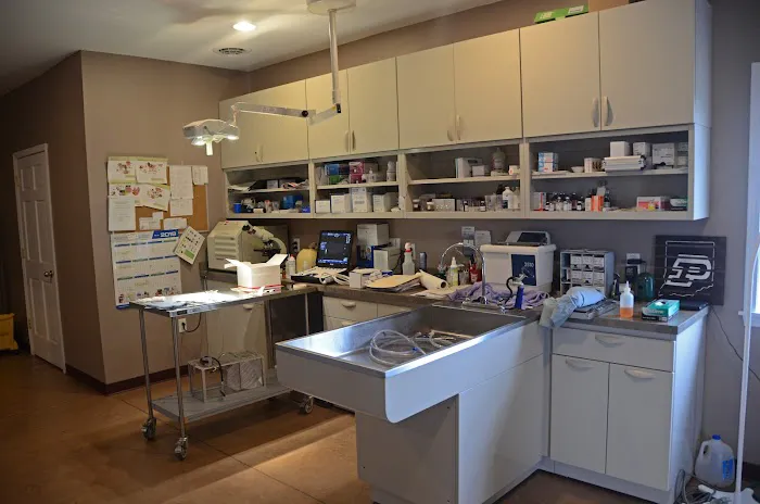 Portland Veterinary Clinic 12