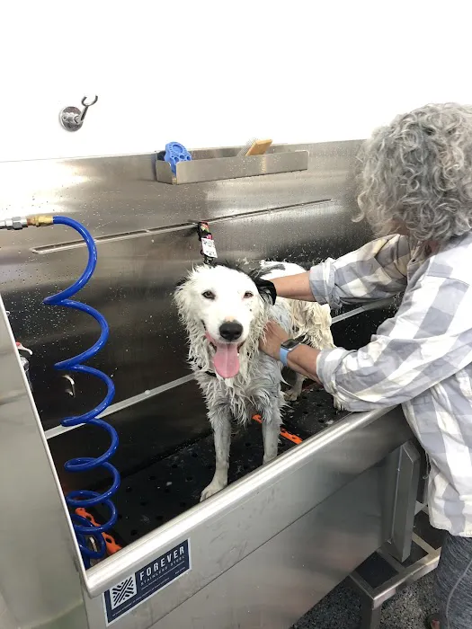 Naked Dog Bistro & Bath 12