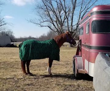 Prices Creek Veterinary Service