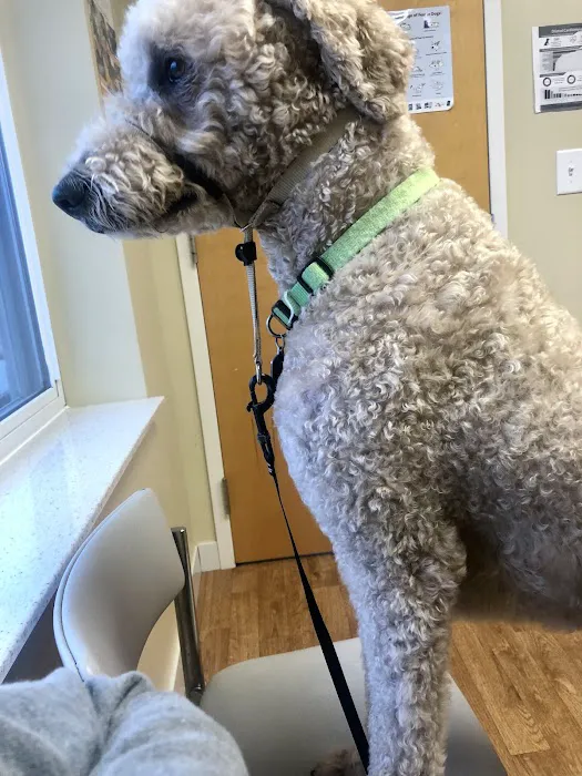 Prices Creek Veterinary Service 12
