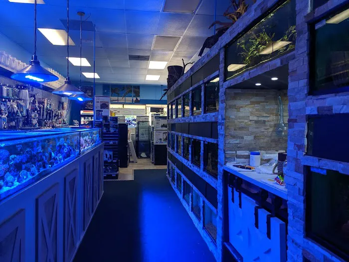 Ocean's Tropical Fish 12