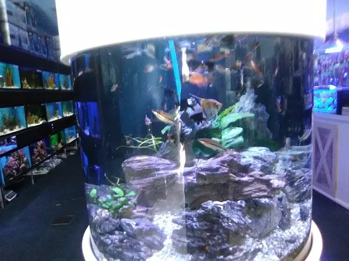 Ocean's Tropical Fish 12