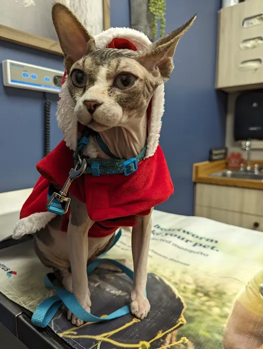 Twin Valley Vet Services, LLC 12