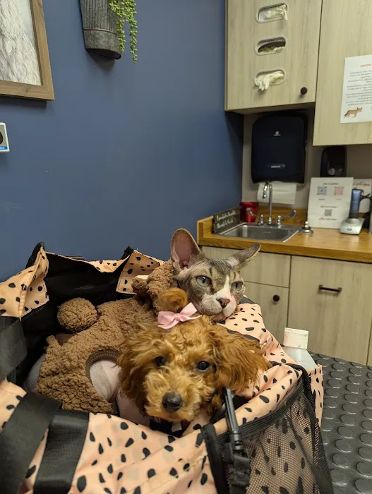 Twin Valley Vet Services, LLC 12
