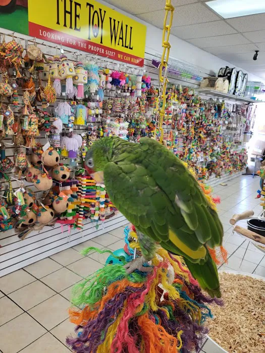Omar's Exotic Birds 12