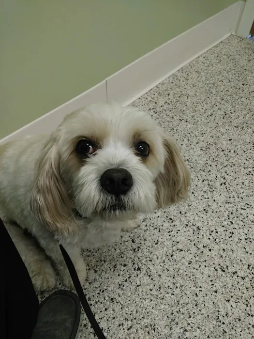 Brookville Animal Hospital 12