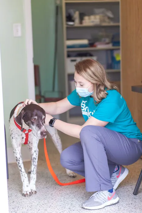 Brookville Animal Hospital 12