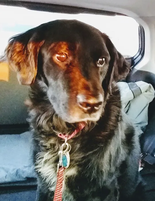 Clayton Animal Hospital 12