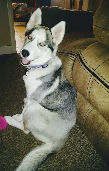 Clayton Animal Hospital 12