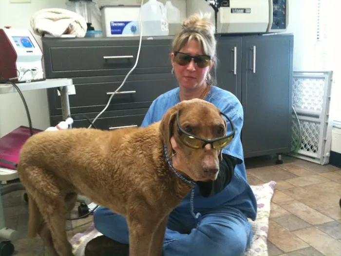 Clayton Animal Hospital 12