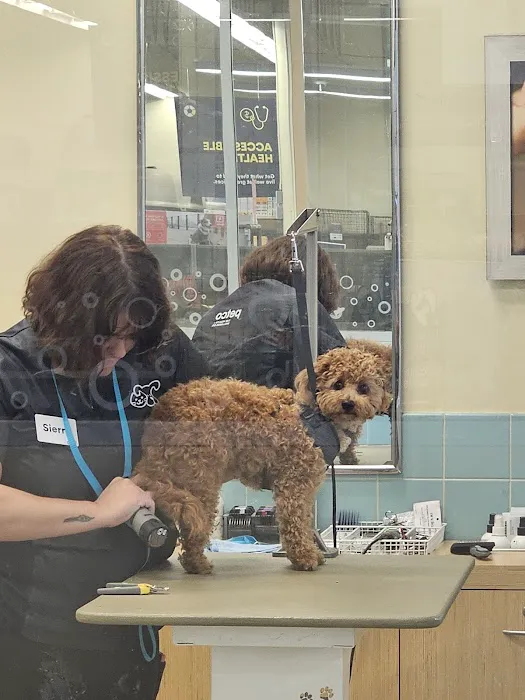 Petco 12