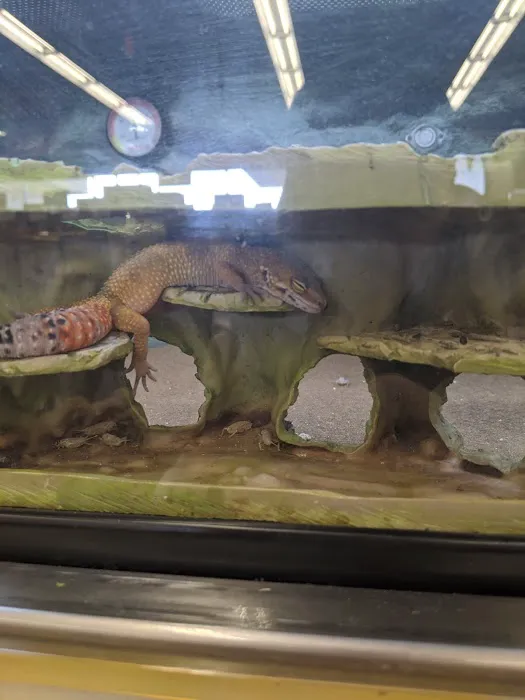 Petco 12