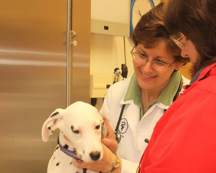 Hartzell Veterinary Service: Charles W. Hartzell, DVM and Sue Ann Hartzell, DVM 12