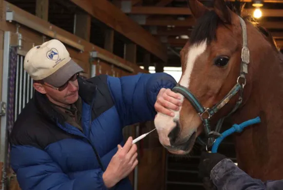 Hartzell Veterinary Service: Charles W. Hartzell, DVM and Sue Ann Hartzell, DVM 12