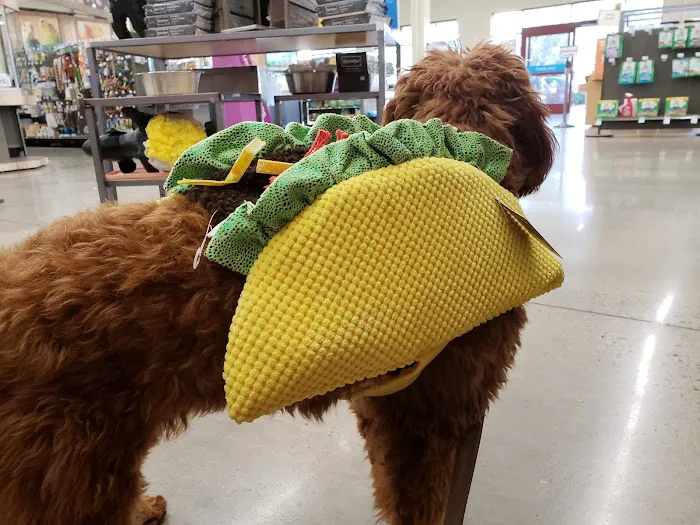 Petco 12