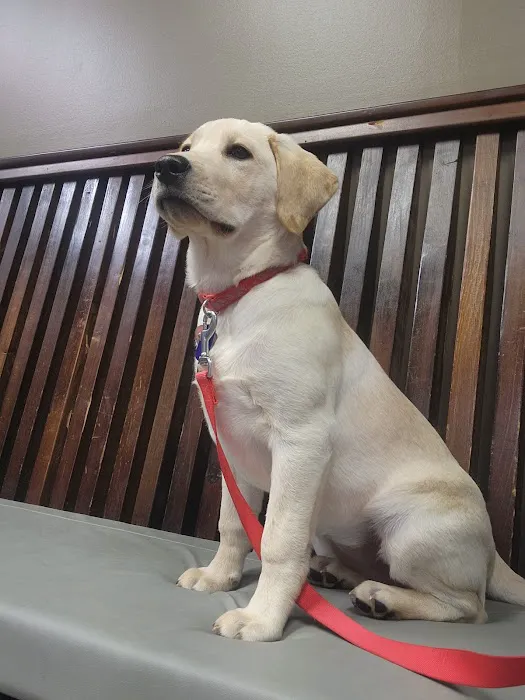 Oakview Veterinary Hospital 3